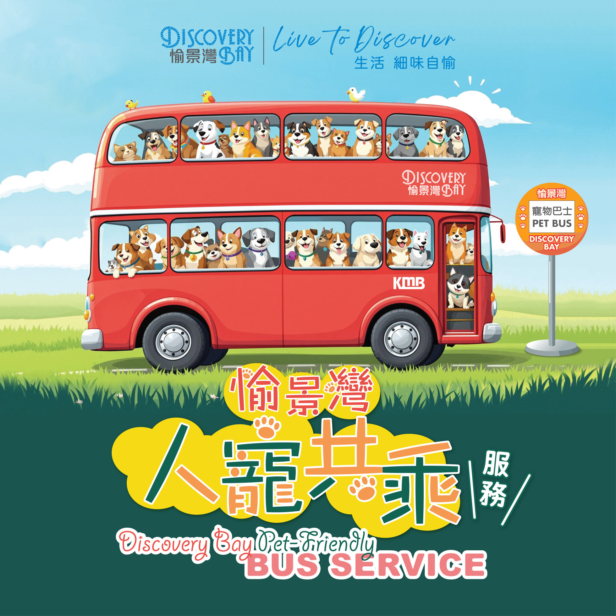 Discovery Bay Pet-friendly Bus Service